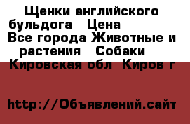 Щенки английского бульдога › Цена ­ 40 000 - Все города Животные и растения » Собаки   . Кировская обл.,Киров г.